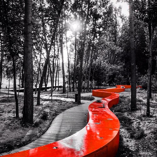 Red Ribbon Park