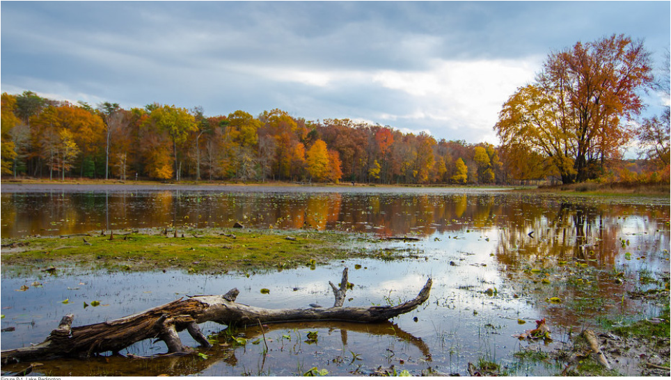 Lake Redington
