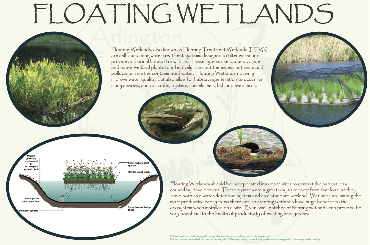 Sample educational sign about Floating Wetlands