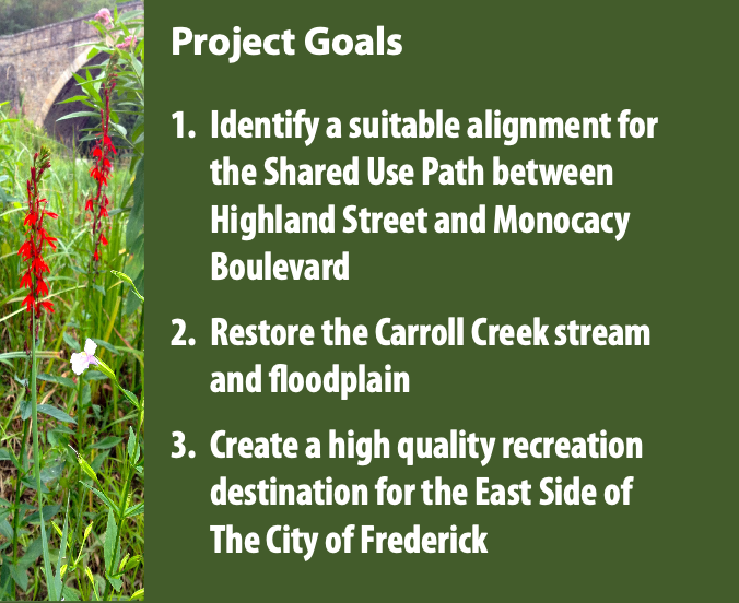 project goals