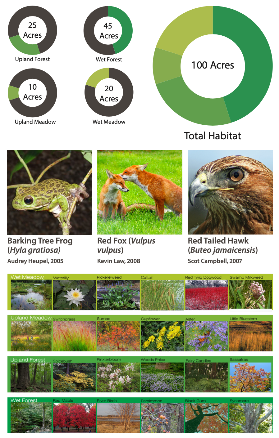 Habitat Restoration and Representative Species
