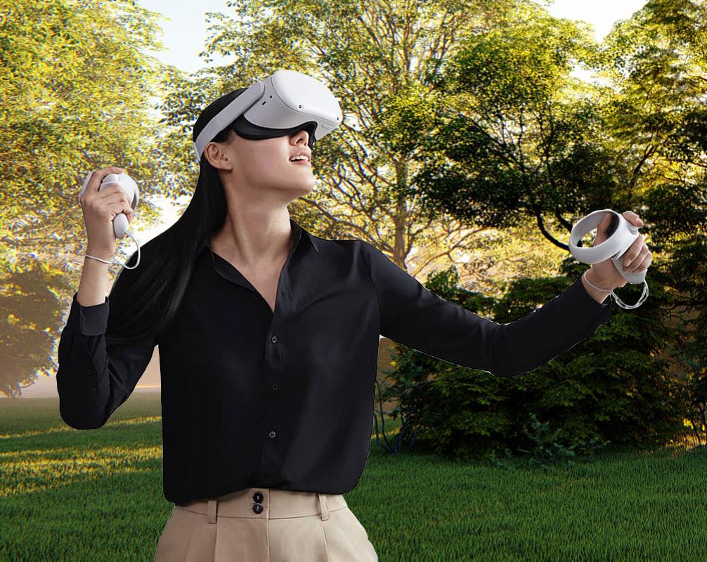 Oculus VR Simulation
